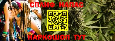 стаф Рязань