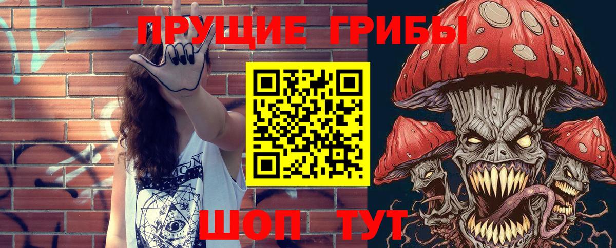 дарнет шоп  Вход с VPN  Рубцовск  Галлюциногенные грибы Psilocybine cubensis 